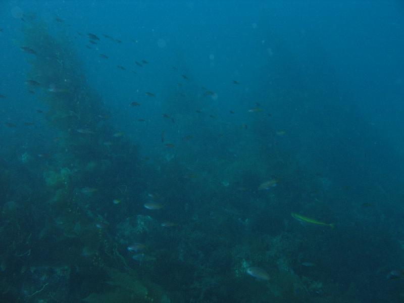 it really wasn't this dark 